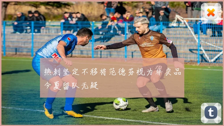 热刺坚定不移将范德芬视为非卖品今夏留队无疑