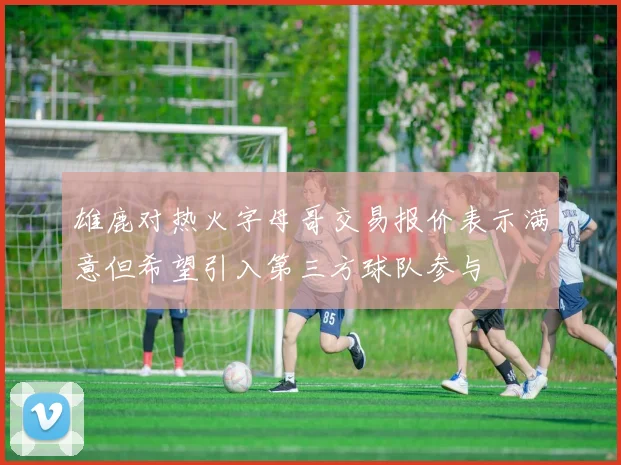 雄鹿对热火字母哥交易报价表示满意但希望引入第三方球队参与