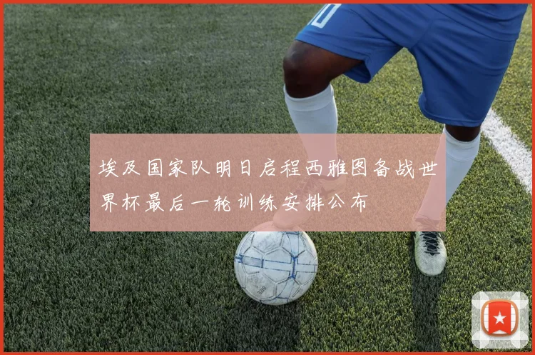 埃及国家队明日启程西雅图备战世界杯最后一轮训练安排公布