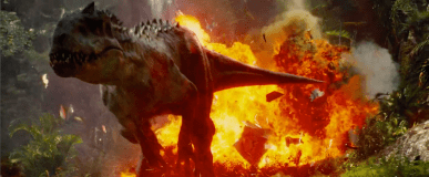 Wow! Dinosaurs Aren’t&nbsp;Enough!